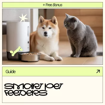 SureFeed Microchip Pet Feeder Setup: Quick Step Guide